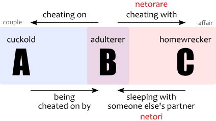 netori meaning|netori